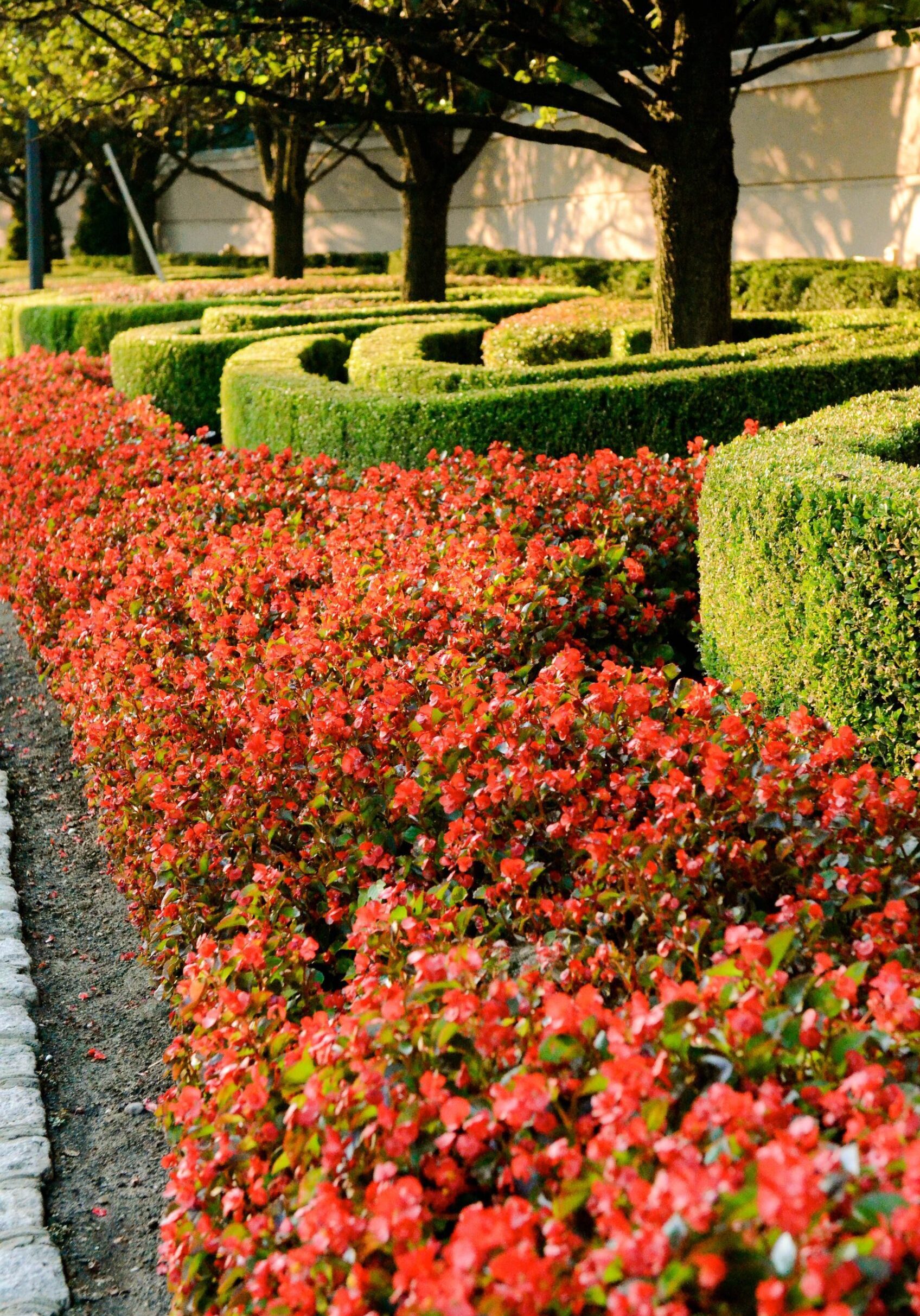 Commercial Landscape Maintenance Company in Hoboken, NJ