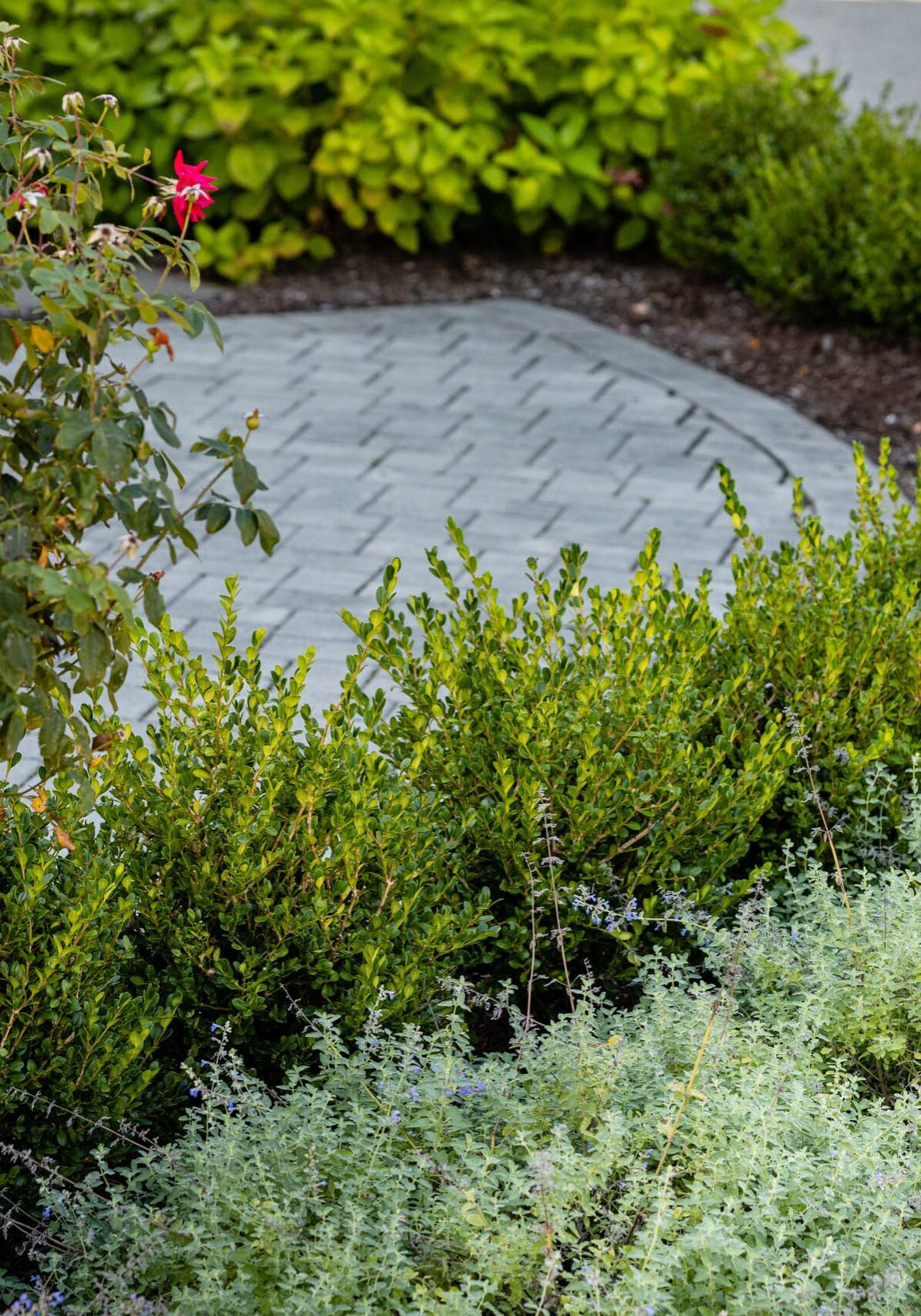 Fort Lee, NJ Full Service Landscaping Companies